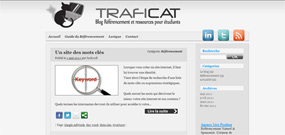 traficat blog referencement